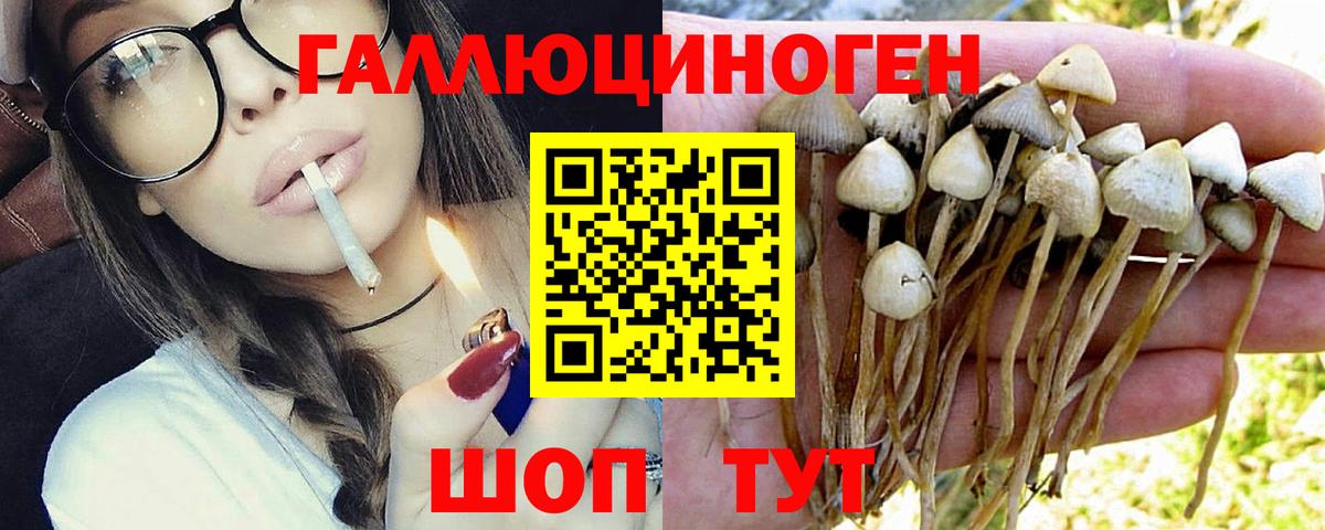 Галлюциногенные грибы мухоморы Россия